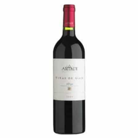 Artadi Viñas de Gain 2012 - mejor vino tinto rioja barato
