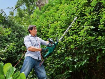 6 mejores cortasetos 113