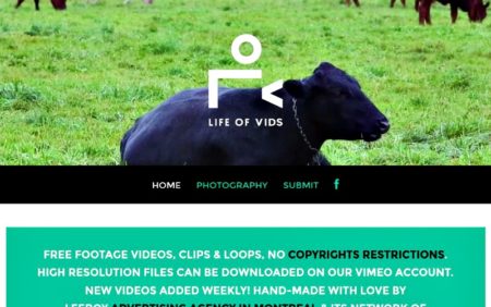 Life-Of-Vids banco de imagenes y videos gratis