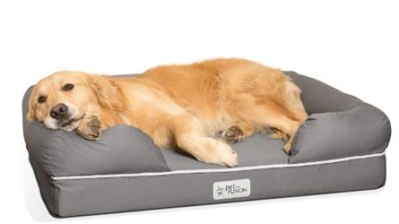 6 mejores camas para perros