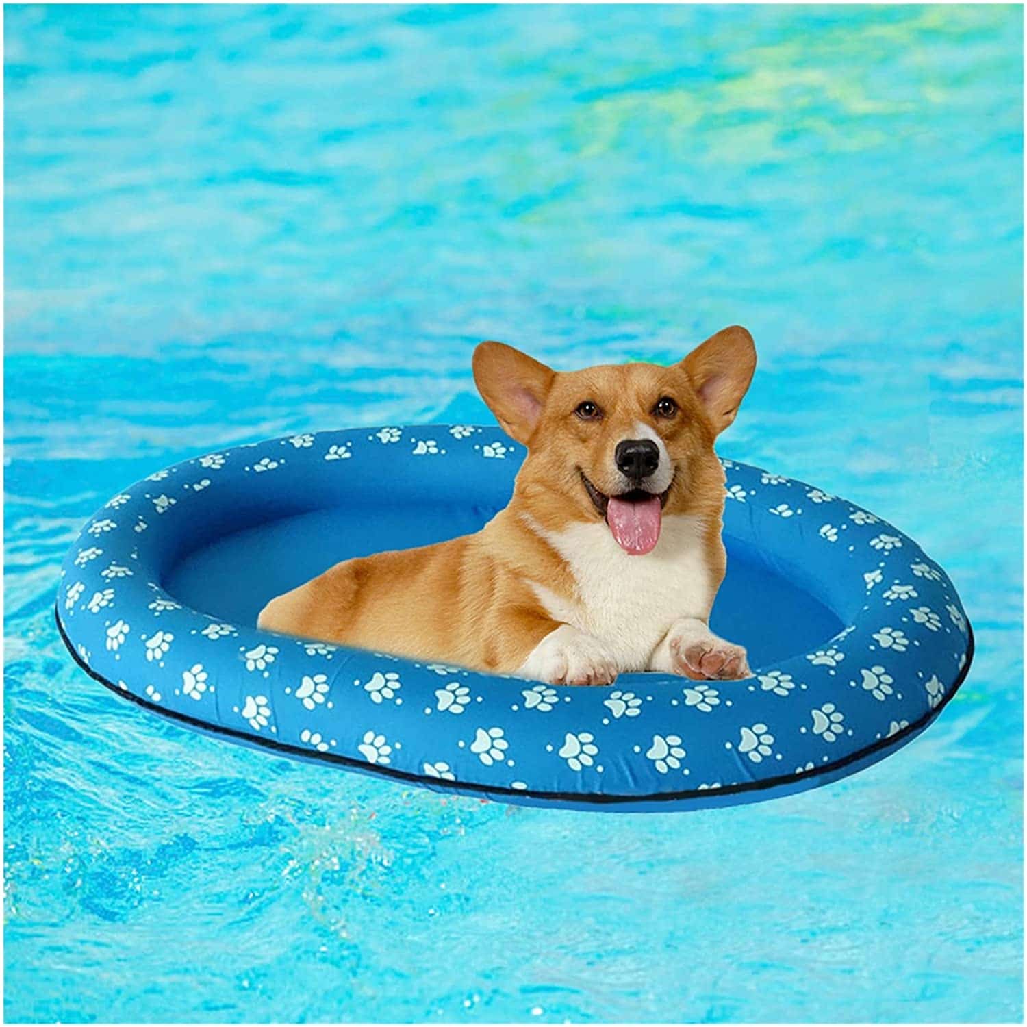 6 mejores piscinas para perros