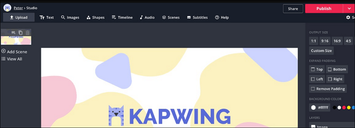 kapwing mp4 editor