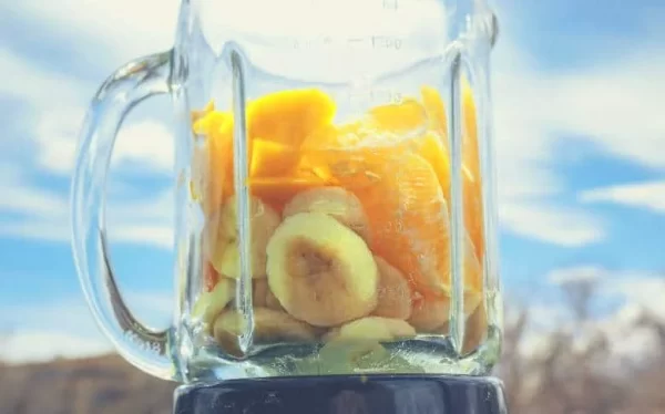 Como escoger la mejor batidora de Vaso