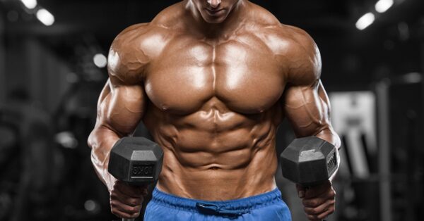6 mejores Mass Gainers para ganar músculo