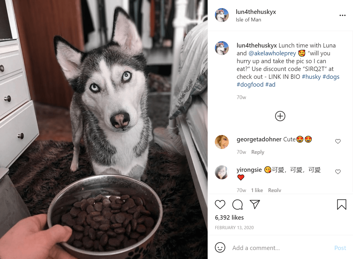 Influenciadora de Instagram de Luna Pet