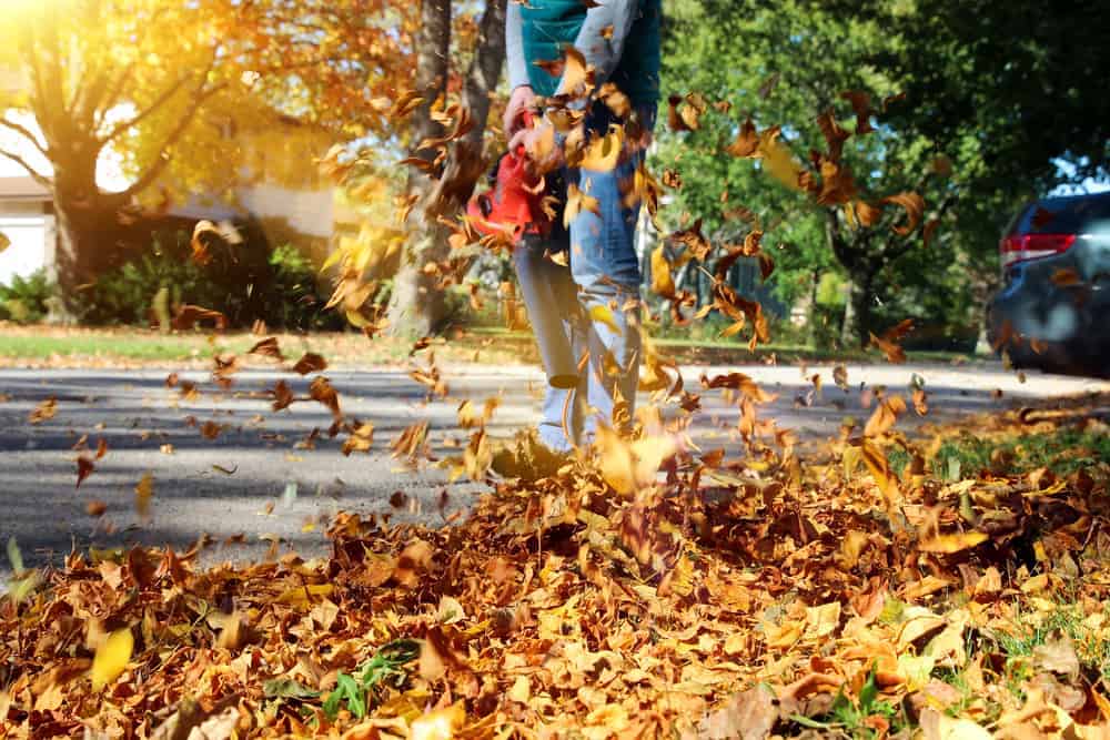 Un hombre utilizando un soplador de hojas durante la temporada de otoño.