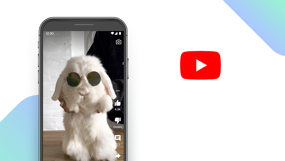 YouTube App feature