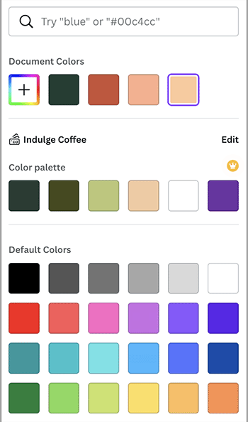 Elegir los colores del logotipo en Canva