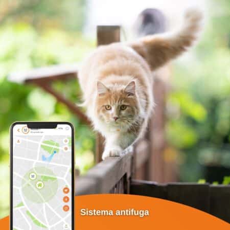 6 mejores collares GPS para gatos