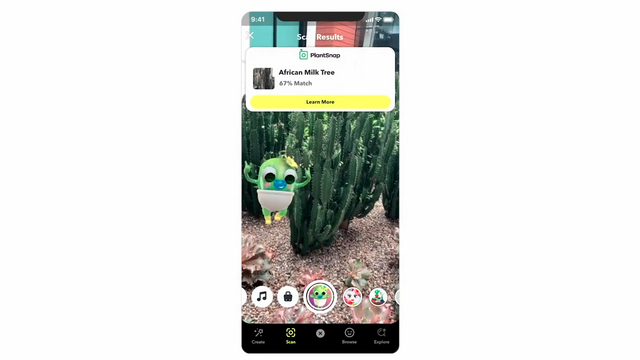 integración de snapchat con plantsnap