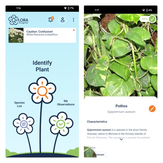 flora incognita - Identificador de plantas Apps