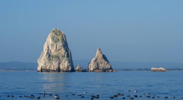 islas medas - mejor destino para bucear en el mediterraneo