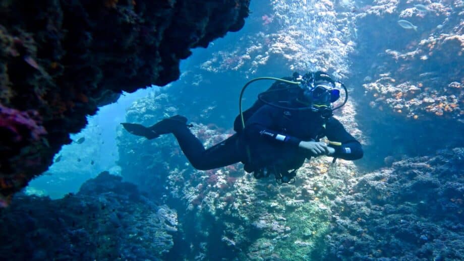 leon marino - el mejor centro de buceo de tarifa
