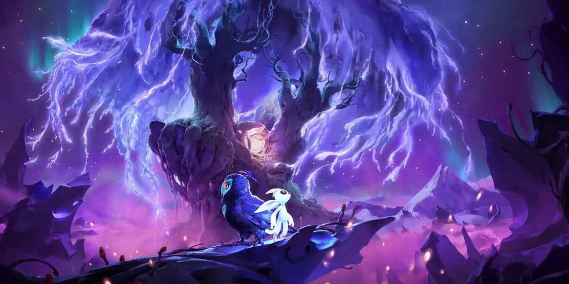 ori con el búho mirando en direcciones opuestas