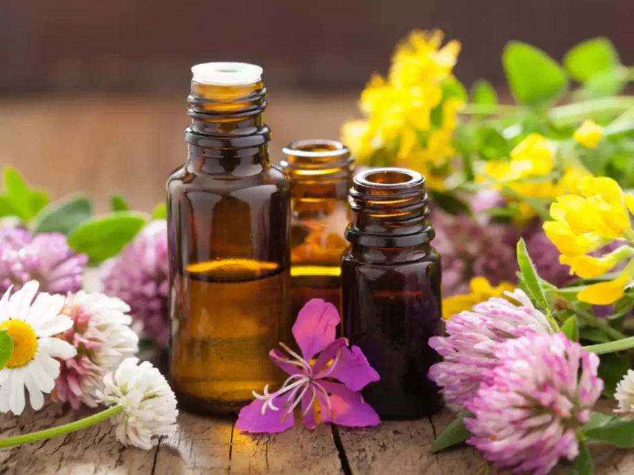 6 mejores aceites esenciales para incorporar en tu rutina diaria 5 6 mejores aceites esenciales para incorporar en tu rutina diaria