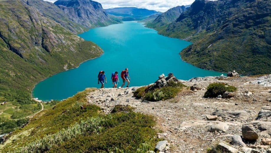 Bosques cubiertos de nieve: Senderismo inolvidable en Noruega 15 Jotunheimen parque nacional noruega