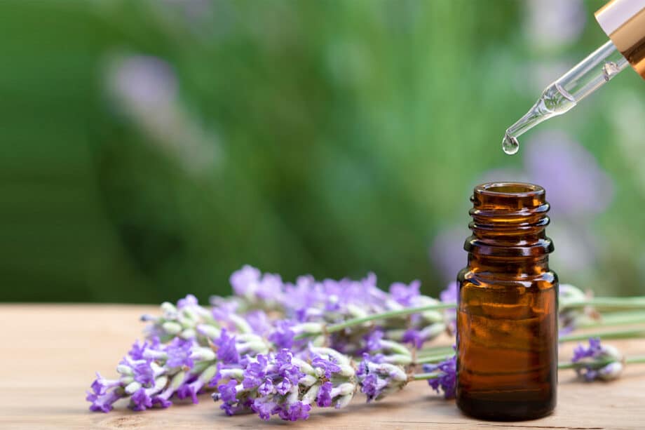 6 mejores aceites esenciales para incorporar en tu rutina diaria 6 tipos de aceites esenciales - aceite esencial de lavanada