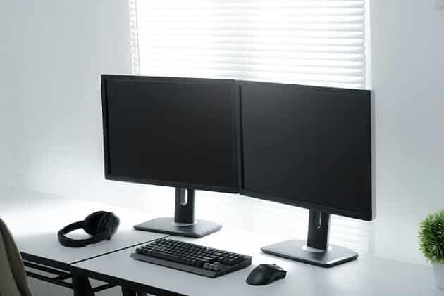 monitor dual