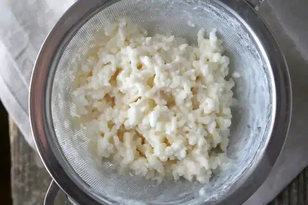 ¿Se puede mezclar yogur con kéfir? 6 como hacer un yogurt probiotico con kefir