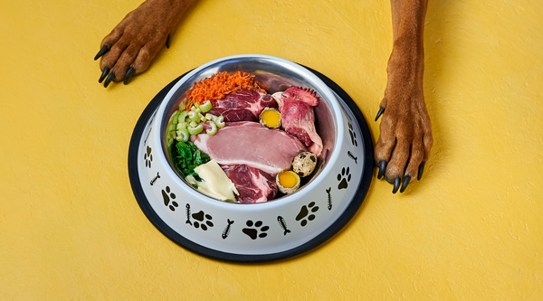 Perro con dieta BARF