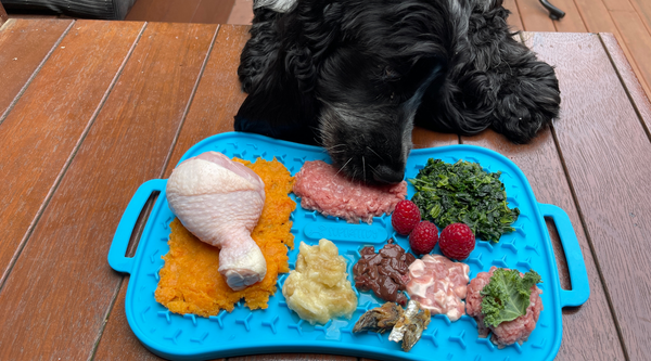 Alfombrilla lamedora Super Feedy con dieta BARF para perros
