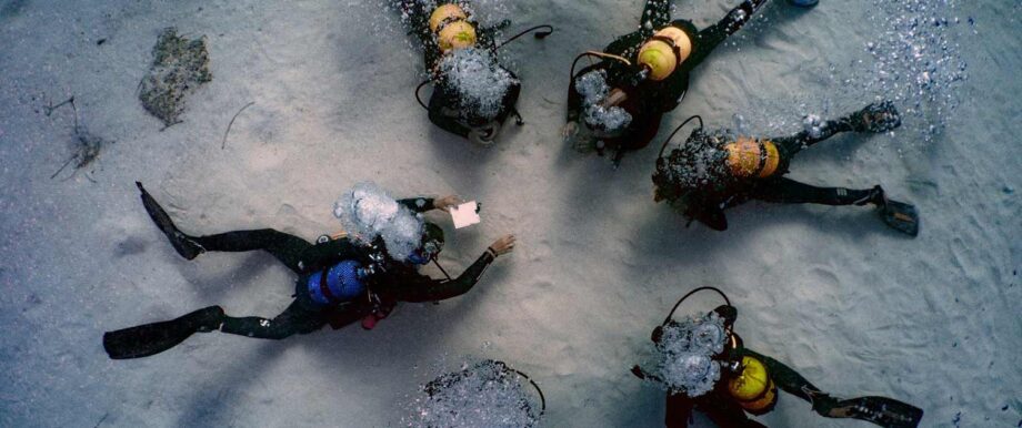 6 Mejores centros de buceo de Barcelona 7 Freeandivers - el mejor centro de buceo de barcelona