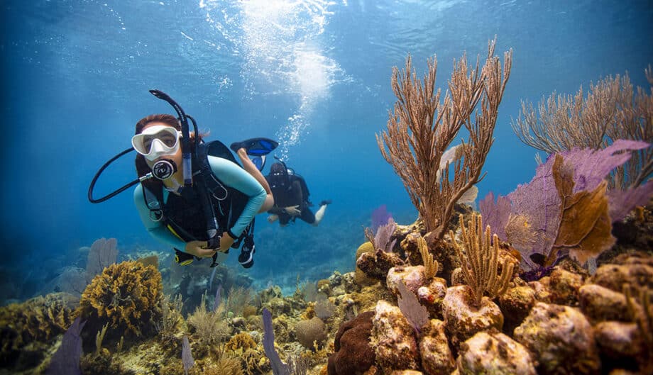 6 Mejores centros de buceo de Barcelona 9 mejores centros de buceo de barcelona