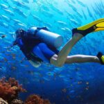 mejores centros de buceo de tarragona