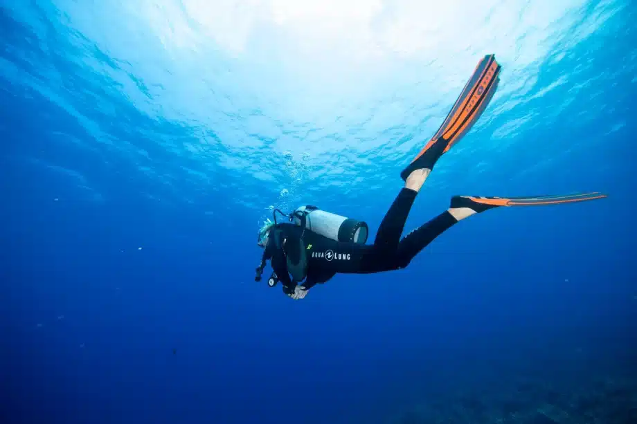 mejores centros de buceo en ibiza