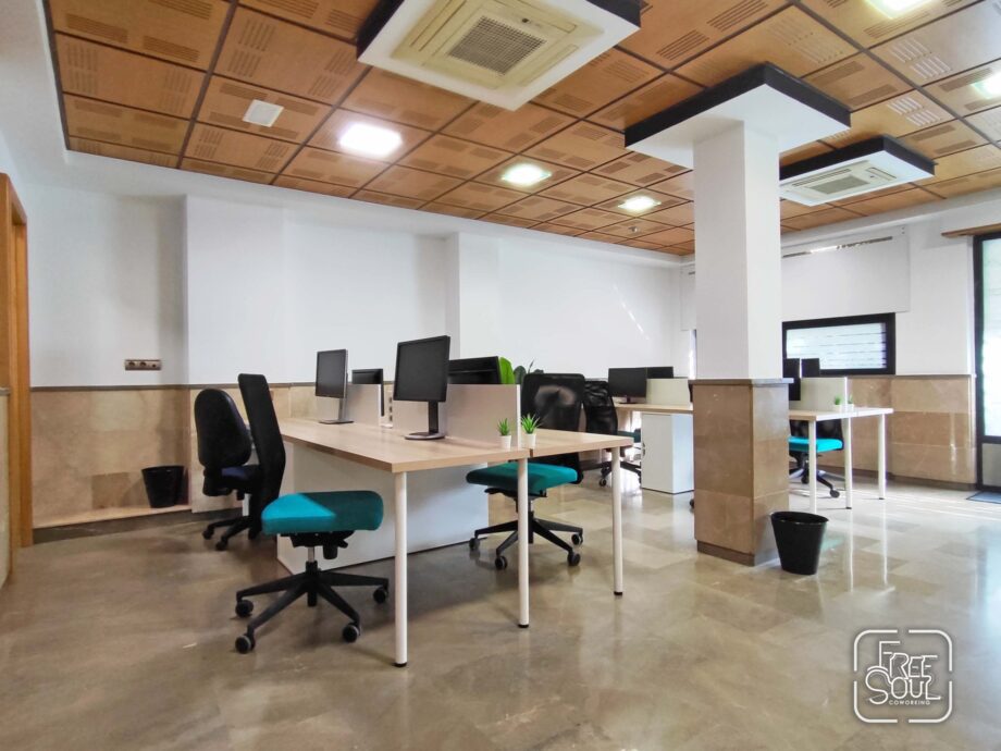 6 Mejores Coworking de Granada 14 FreeSoul Coworking
