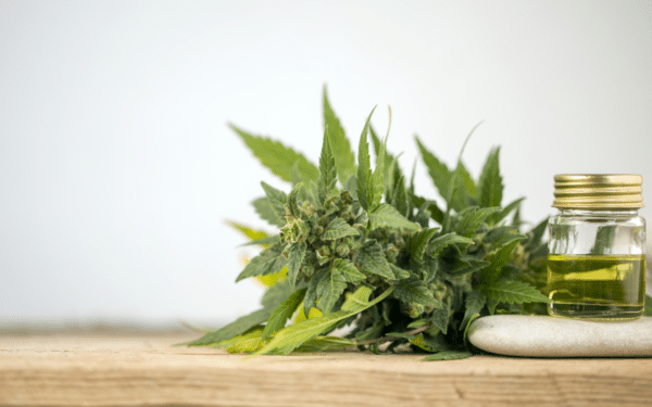 La tendencia del CBD es irreversible