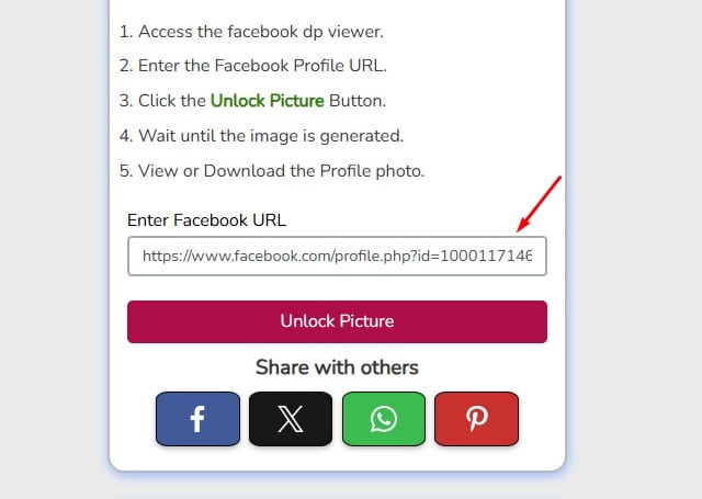 pega el enlace del perfil