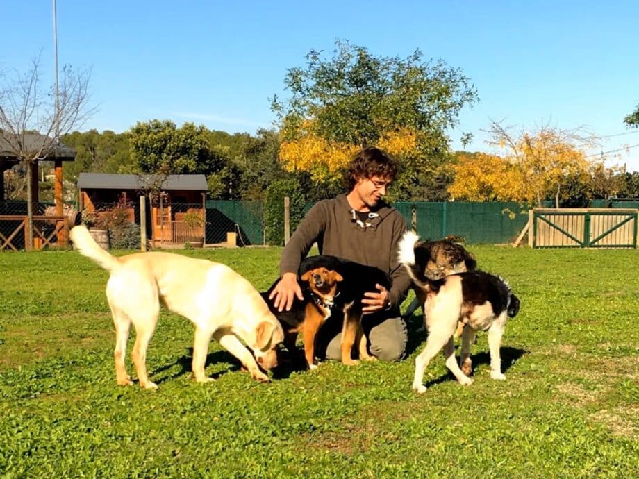 Las mejores residencias caninas de Girona. 11