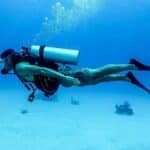 Los mejores centros de buceo de Las Palmas. mejores centros de buceo en las palmas