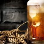 Las Mejores Cervezas Tostadas 0,0% según la OCU Mejores Cervezas Tostadas 0 0