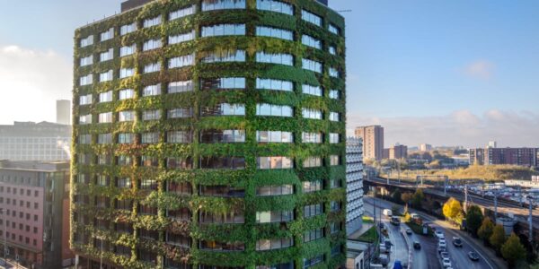 6 mejores jardineres verticales del mundo. 5 mejores jardines verticales del mundo