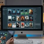 Cómo organizar tu biblioteca digital de películas con carátulas y metadatos