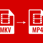 MKV vs. MP4