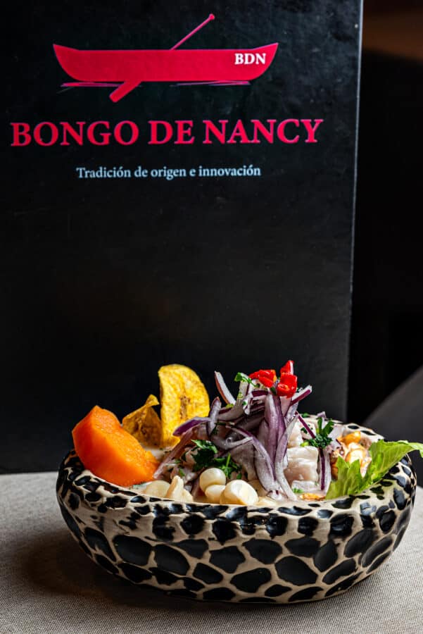 BONGO DE NANCY 1